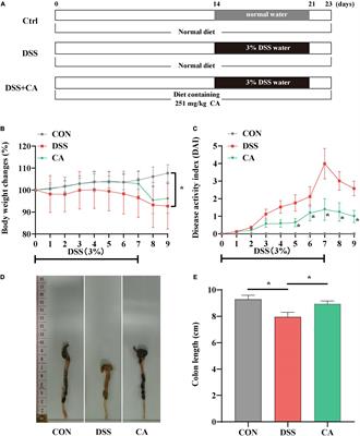 Caffeic Acid Supplement Alleviates Colonic Inflammation and Oxidative Stress Potentially Through Improved Gut Microbiota Community in Mice